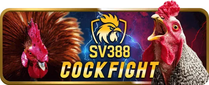 Đội ngũ chuyên gia của game.win